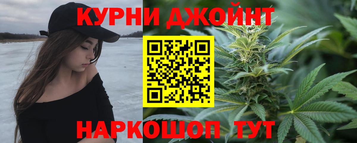 Каннабис OG Kush Севастополь